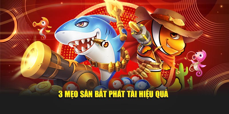 3 mẹo săn bắt phát tài hiệu quả