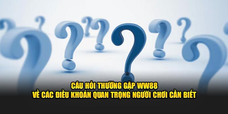 Câu hỏi thường gặp WW88 về các điều khoản quan trọng người chơi cần biết