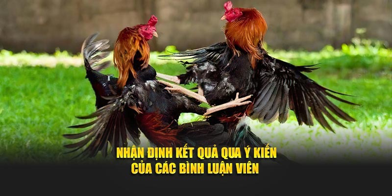 Nhận định kết quả qua ý kiến của các bình luận viên