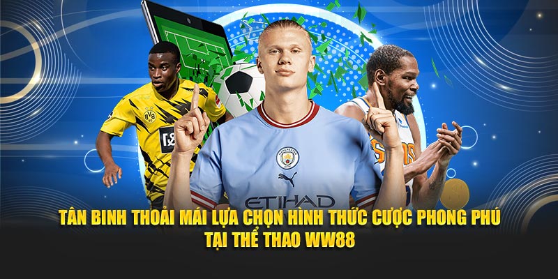 Tân binh thoải mái lựa chọn hình thức cược phong phú tại Thể Thao WW88