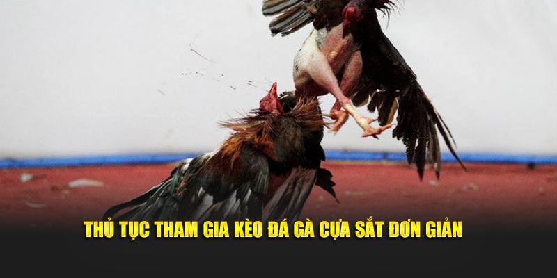 Thủ tục tham gia kèo đá gà cựa sắt đơn giản